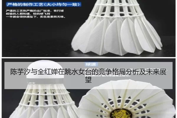 陈芋汐与全红婵在跳水女台的竞争格局分析及未来展望